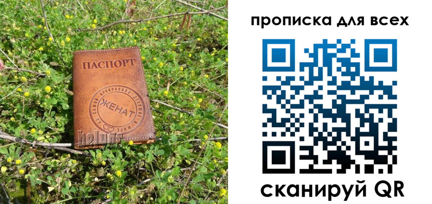 прописка поиск в Ржеве
